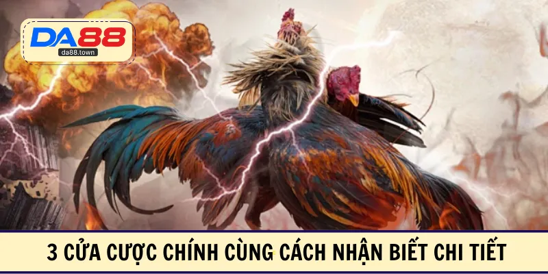 3 cửa cược chính cùng cách nhận biết chi tiết