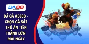 đá gà ae888