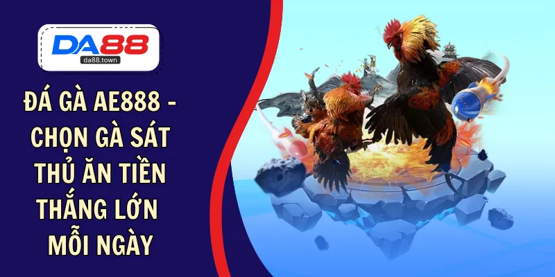 đá gà ae888