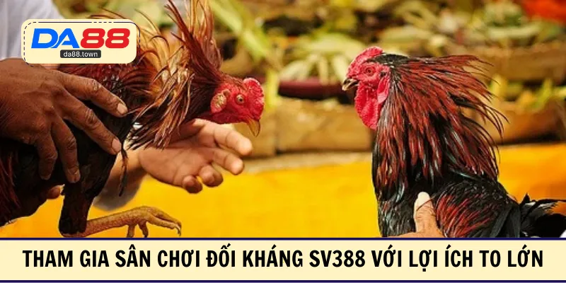 Tham gia sân chơi đối kháng SV388 với lợi ích to lớn