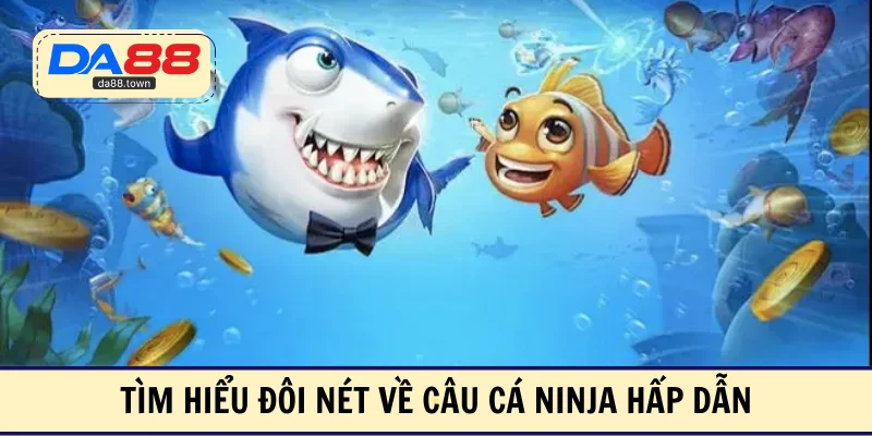 Tìm hiểu đôi nét về câu cá ninja hấp dẫn